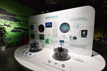 武汉科学技术馆第 7 张图片