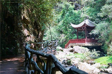 九阜山自然保护区第 14 张图片