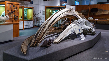 北方极地博物馆