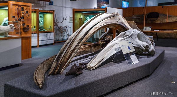 北方极地博物馆