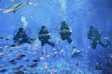 三亚亚特兰蒂斯失落的空间水族馆第 96 张图片