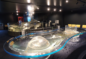 千岁水族馆第 7 张图片