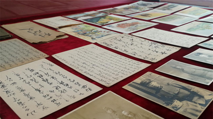 莲花山国家森林公园第 18 张图片