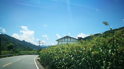 太平山第 1 张图片