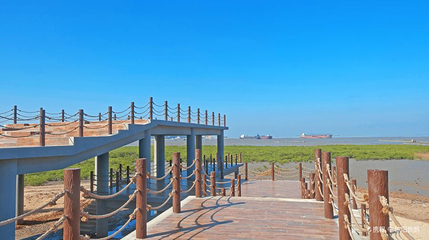 湄洲岛·国家旅游度假区-红树林生态公园第 1 张图片