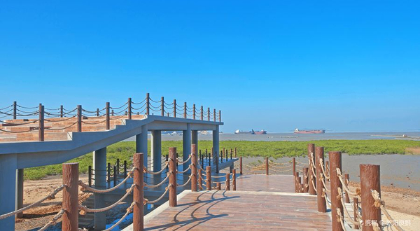 红树林生态公园