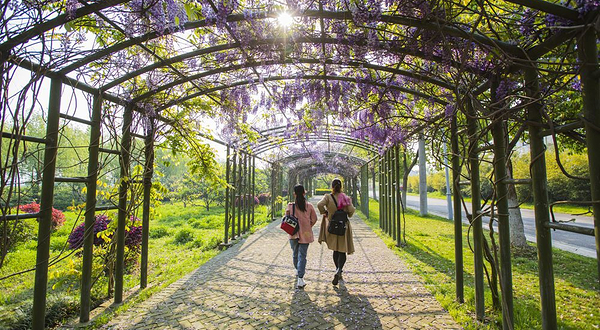 阳山火山地质公园-阳山桃花源