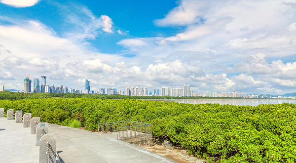 红树林海滨生态公园
