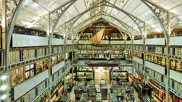 皮特·里弗斯博物馆