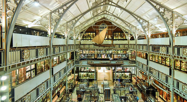 皮特·里弗斯博物馆