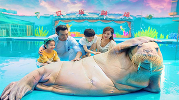 极地海洋世界欢乐剧场