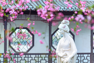莫愁湖公园第 3 张图片