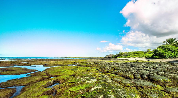 Kaloko-Honokohau国家历史公园