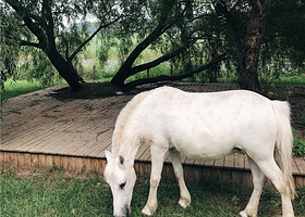 贵族之家马术俱乐部