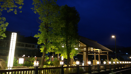 东江源三百山温泉旅游度假区第 17 张图片