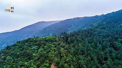 树山生态村第 25 张图片