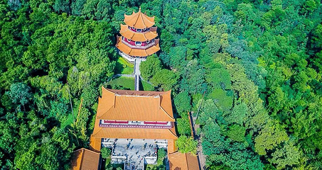 三水森林公园第 21 张图片