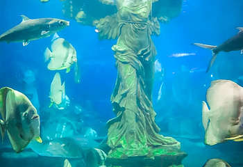 张家港梦幻海洋王国第 46 张图片