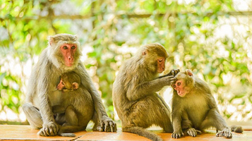 寿山国家自然公园