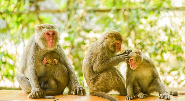 寿山国家自然公园