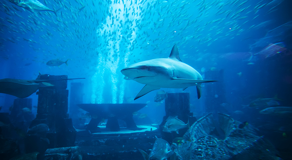 Norn Minakami Ski Resort