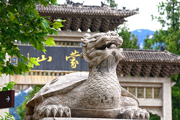 沂蒙山旅游区龟蒙景区第 8 张图片