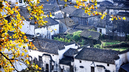 长溪村第 1 张图片