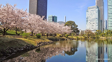 旧芝离宫恩赐庭园