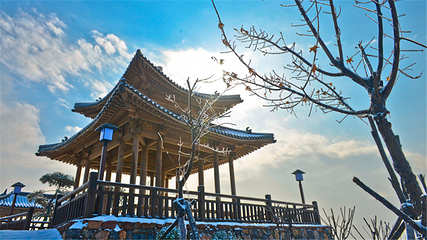 万安山山顶公园第 43 张图片