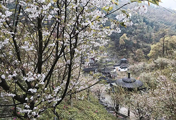 梅岭太阳谷第 44 张图片