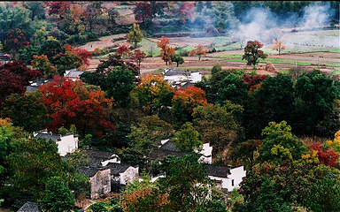塔川第 85 张图片