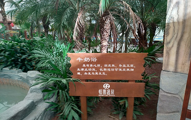 恒富温泉水世界第 31 张图片