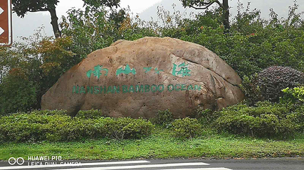 天目湖南山竹海第 167 张图片