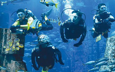 三亚亚特兰蒂斯失落的空间水族馆第 97 张图片
