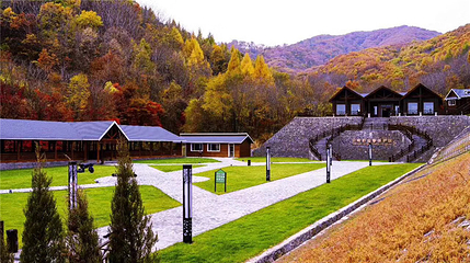 云岭野山参风景区第 1 张图片