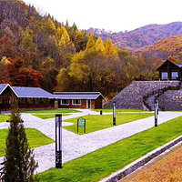 云岭野山参风景区