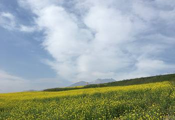 卓尔山第 41 张图片