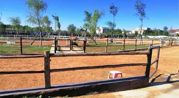 揽翠湖马术俱乐部