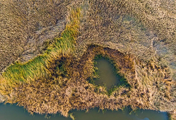 黄河入海口第 23 张图片