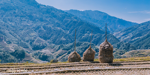龙脊梯田风景名胜区-金坑梯田第 16 张图片