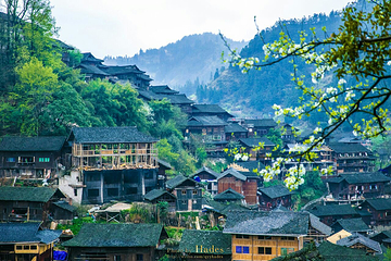 西江第 7 张图片