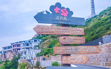 花鸟岛第 59 张图片