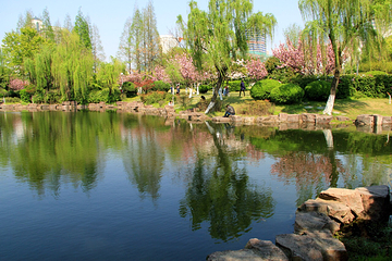 月湖公园第 46 张图片