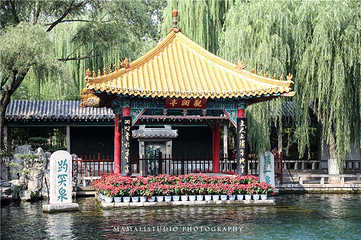 趵突泉景区第 30 张图片