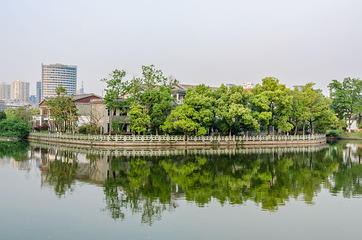 月湖公园第 36 张图片