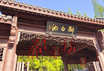 醉白池第 11 张图片