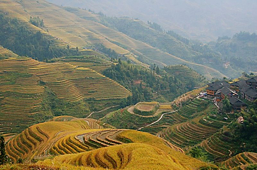 龙脊梯田风景名胜区-金坑梯田第 22 张图片