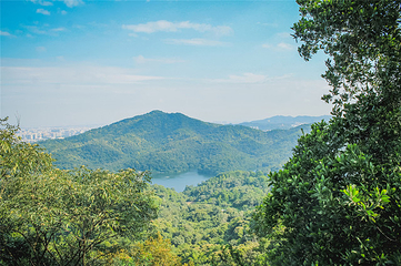大雁山风景区第 11 张图片