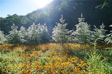 本溪大石湖风景区第 28 张图片