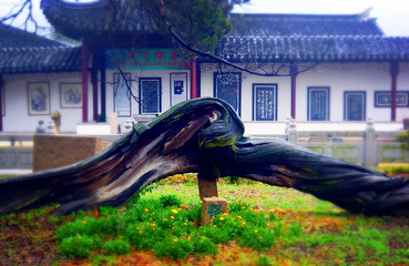 司徒庙第 27 张图片